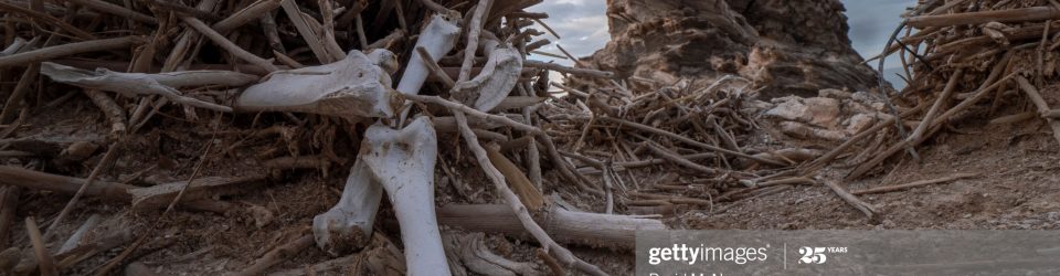 No Bones are too Dry