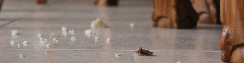 Make a feast out of crumbs