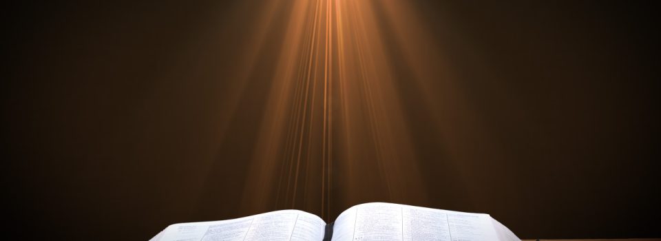 Bible Study