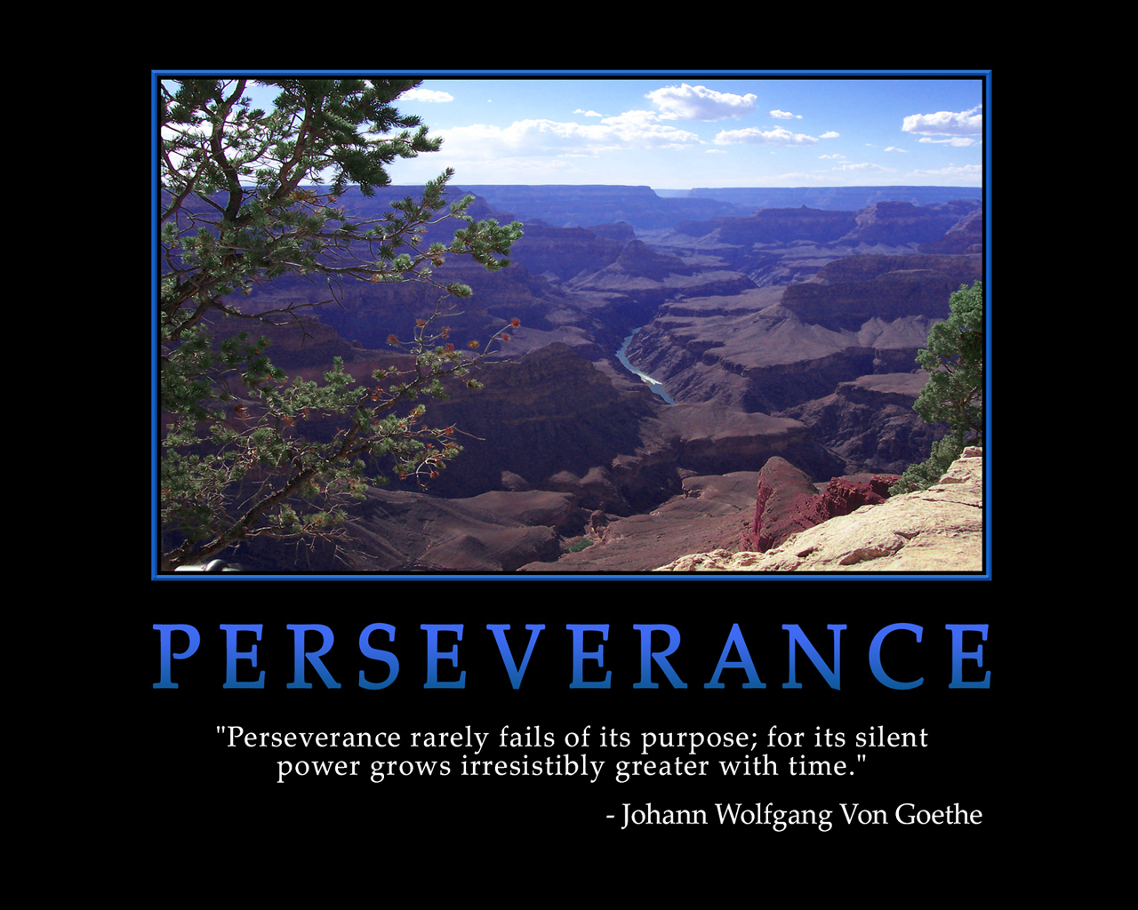 Perseverance